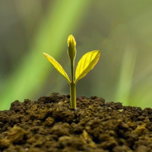 Gruppenlogo von pdUK von L&L